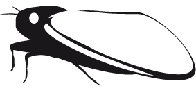 Auchenorrhyncha